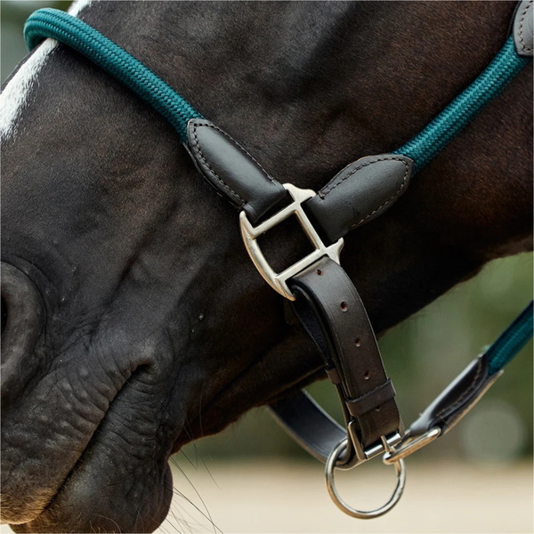 2026 Dublin Leather Rope Headcollar 1031533 - Hunter Green / Brown